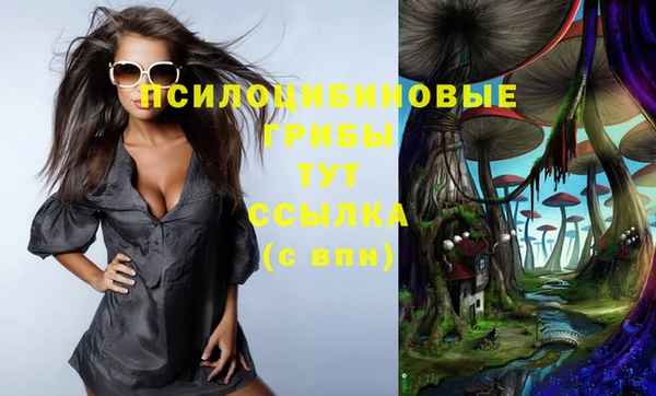 спайс Алексеевка