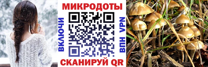 как найти   Березники  Псилоцибиновые грибы мухоморы 